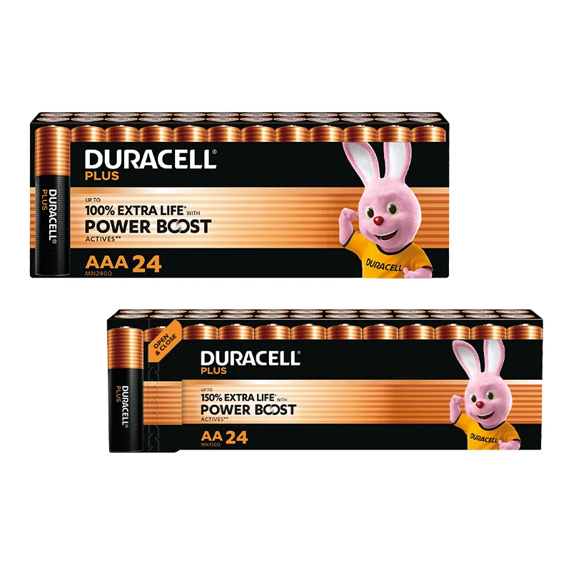 24 Stuks Duracell Plus Powerboost Alkaline Batterijen