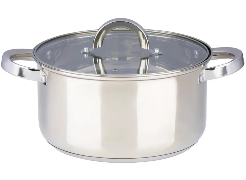 alpina Pan met Deksel 4.7L Ø22Cm