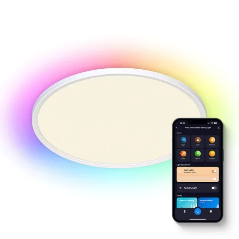 FlinQ Slimme Indoor Plafondlamp