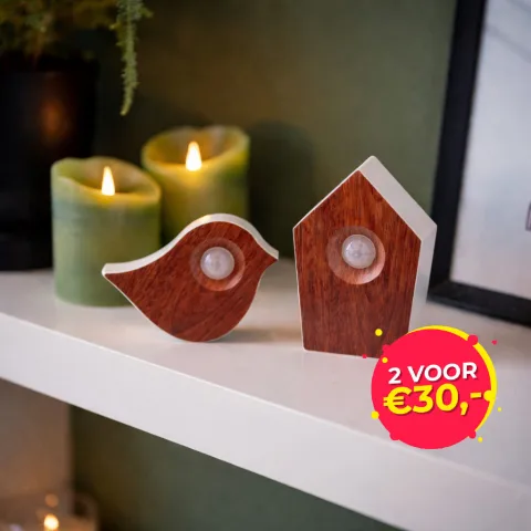 Nexxt Premium Vogelbox met Bewegingsensor